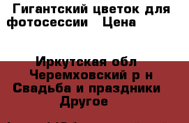 Гигантский цветок для фотосессии › Цена ­ 1 800 - Иркутская обл., Черемховский р-н Свадьба и праздники » Другое   